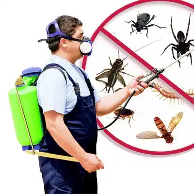 pest control Grimesland